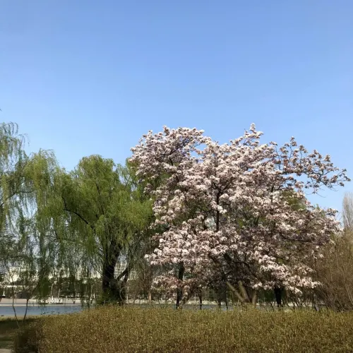 韓国/ソウル【麻浦区】ワールドカップ公園