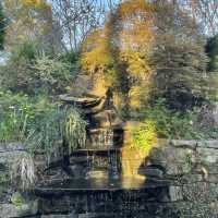 淡路島の植物散策