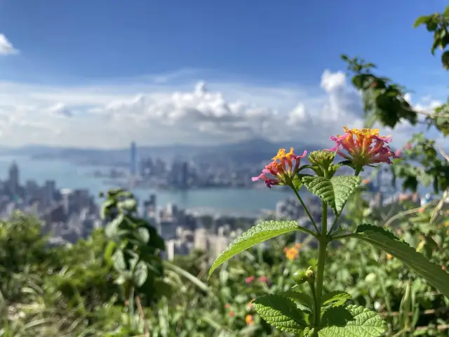 渣甸山☘小馬山短遊🐎️