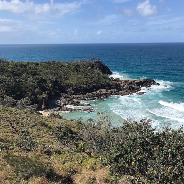 Noosa National Park | Sunshine Beach