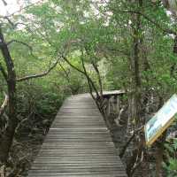 สถานีพัฒนาทรัพยากรป่าชายเลนที่ 4 เกาะช้าง