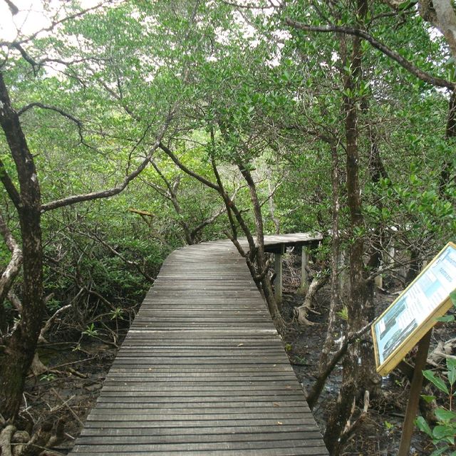 สถานีพัฒนาทรัพยากรป่าชายเลนที่ 4 เกาะช้าง
