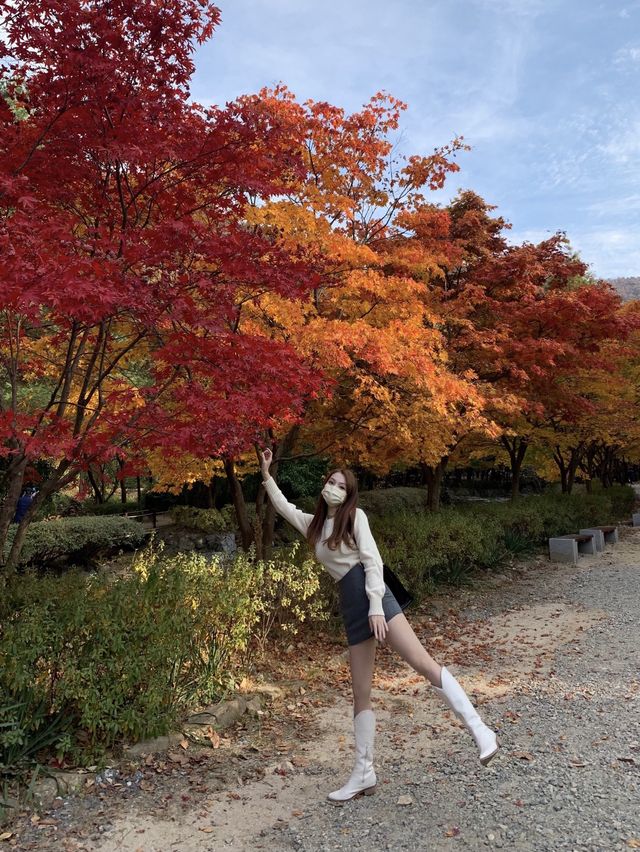 [상소동 산림욕장] 한국의 앙코르와트🗿