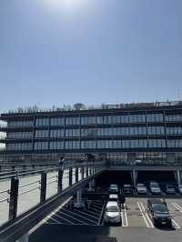 【横浜ハンマーヘッド】