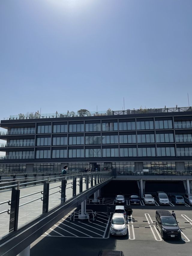 【横浜ハンマーヘッド】