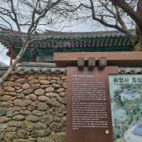 매화 명소 [구례 화엄사]