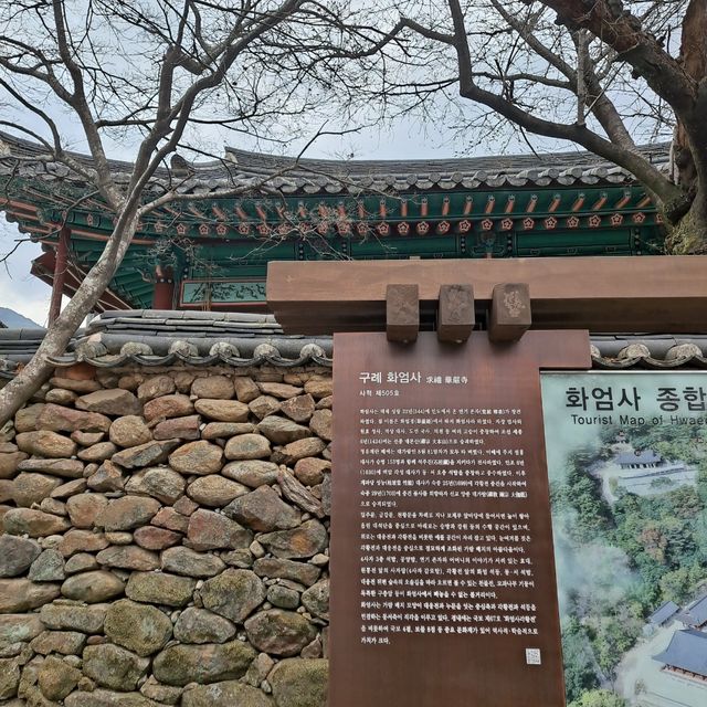매화 명소 [구례 화엄사]