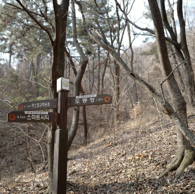 대전 우성이산 등산 
