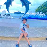 ชิวทะเลเล่นกับลิงถ่ายรูปเครื่องบิน