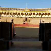 The bullring of Real Maestranza de Caballería