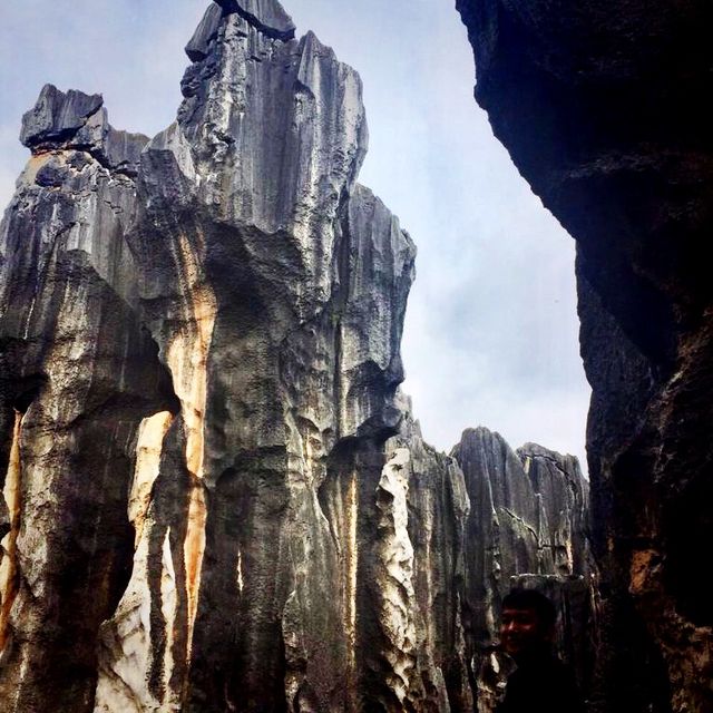 Great trip  on the rocks of Stone Forest