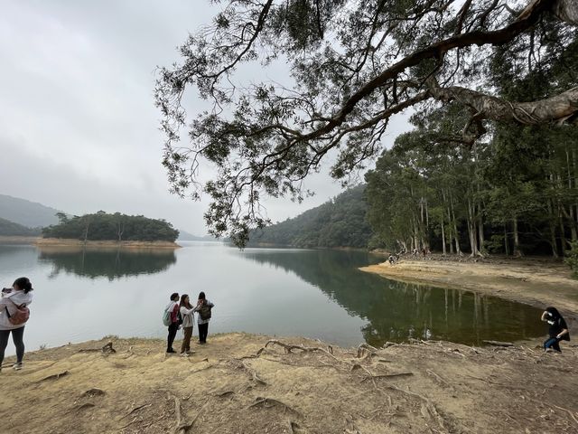 荃灣秘景 - 城門水塘 荃灣秘景 - 城門水塘