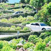 The Famous Lombard Street 