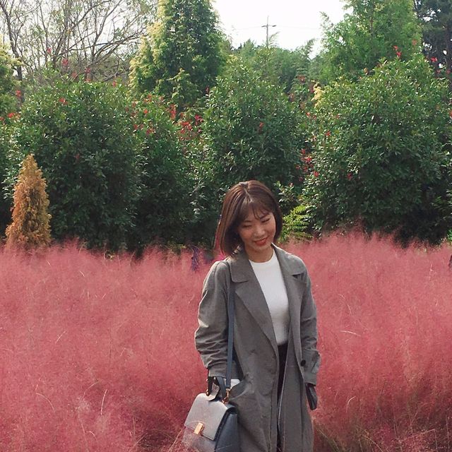 핑크뮬리, 갈대 가득한 청산수목원