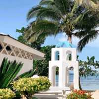 The waves are calling and I must go!😍