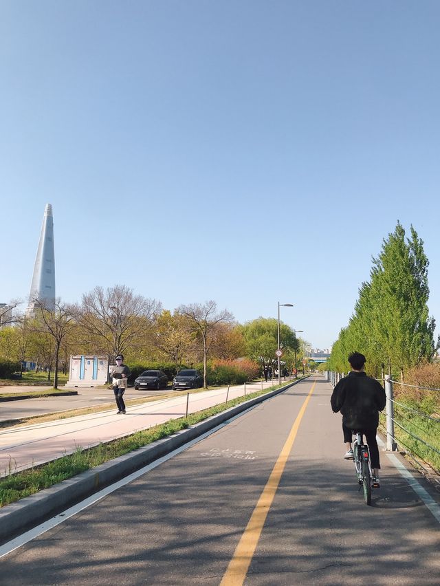 따릉이 타고 한강 라이딩 어때요🚲