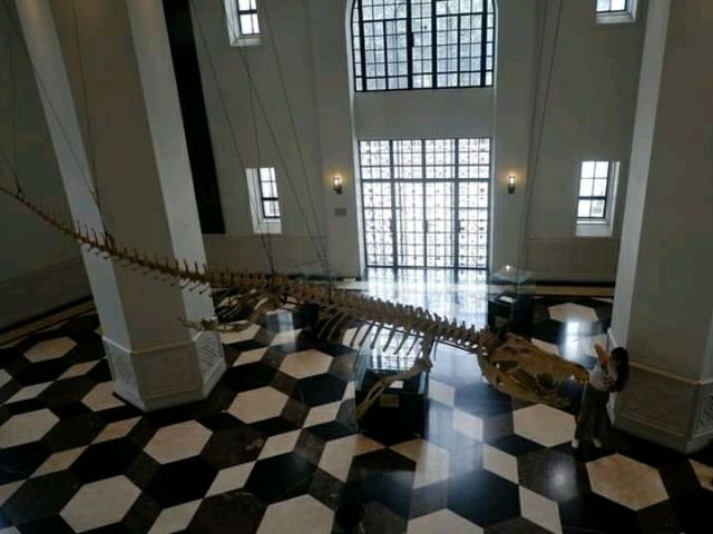 National Museum of Natural History