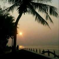 日出瀟灑🌅黃昏浪漫💐