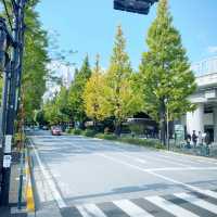 【東京都】オリンピックの開催場　国立競技場🏢