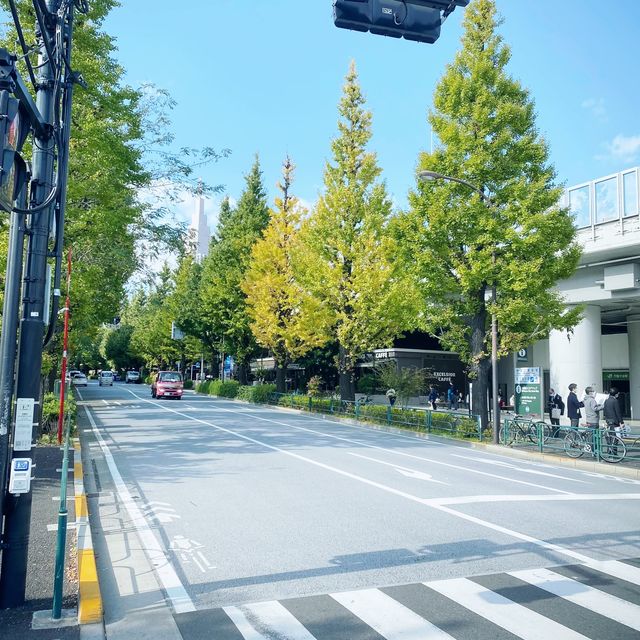 【東京都】オリンピックの開催場　国立競技場🏢