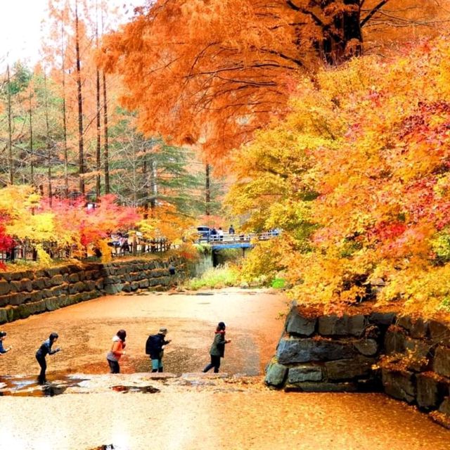 여기가 한국이 맞나요