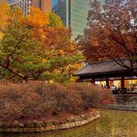 덕수궁에서 보는 가을 🍁