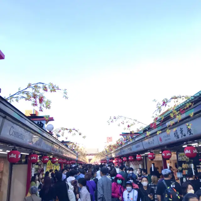 ASAKUSA 