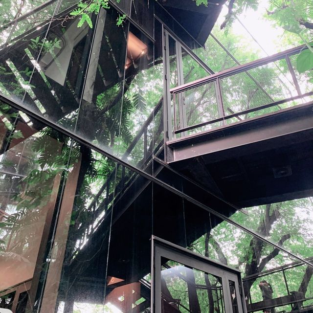Cozy Nature Cafe near BTS Phrakanong in Bangkok 🌿