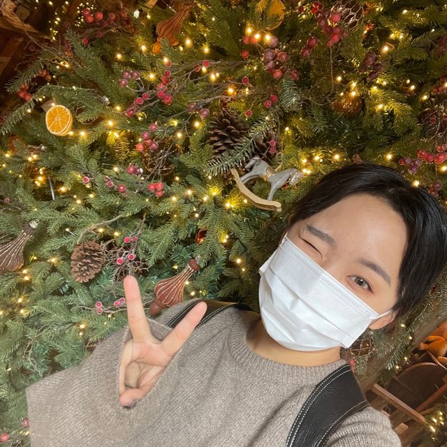 트리가 예쁜 곳 🎄 ‘현대백화점’