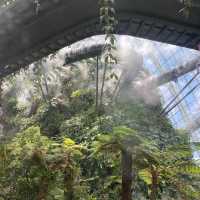 Best travel place, “Garden by the bay”