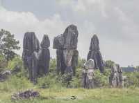 Stone Forest Geological Park@Kunming