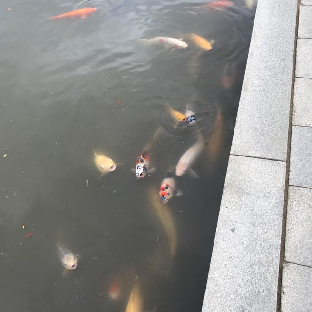 四季的風景的濃縮 - 廣島縮景園