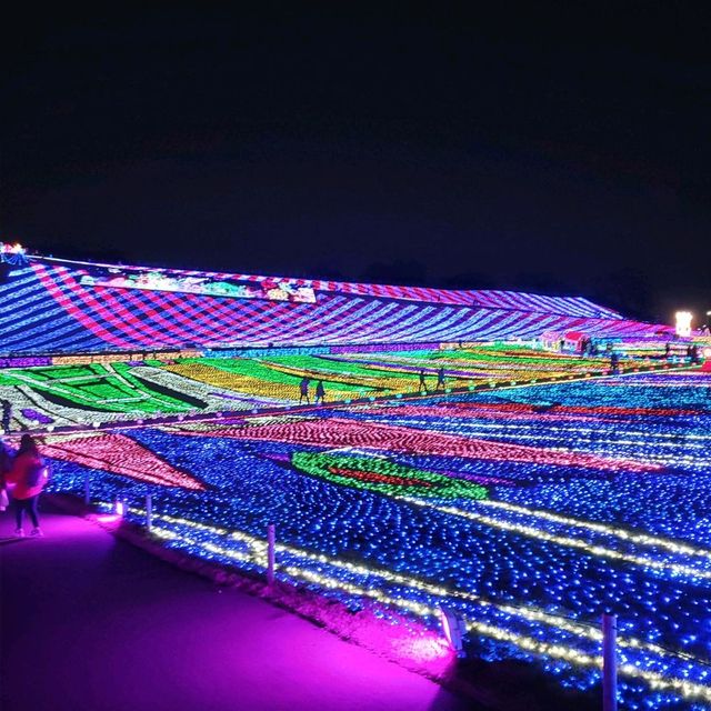 千葉県！東京ドイツ村のイルミネーション①