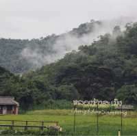 หลองข้าวสะเมิง บ้านพักบรรยากาศดี ในอ้อมกอดขุนเขา
