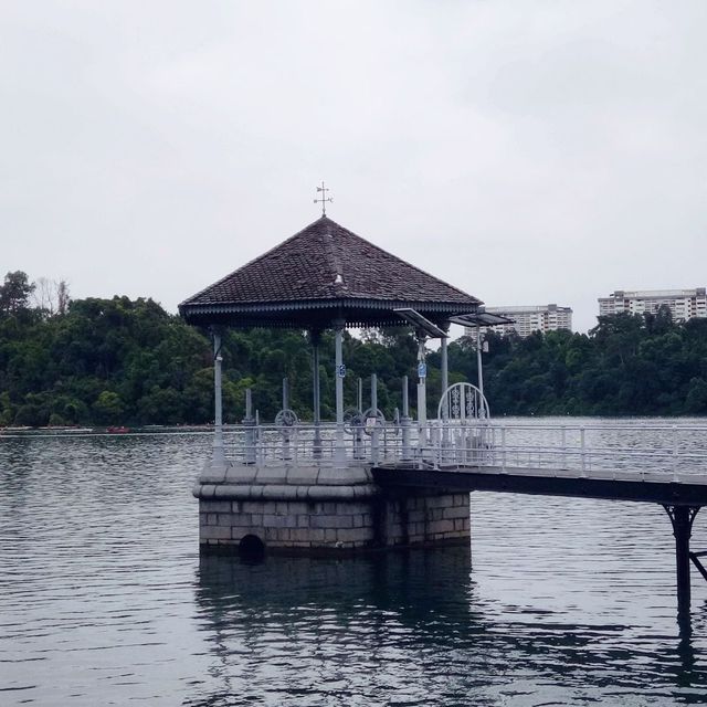MacRitchie Reservoir