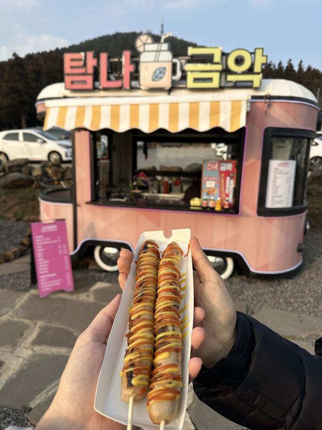 언제 가도 즐겁고 맛있는 제주도 언제 가도 즐겁고 맛있는 제주도
