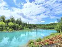 北海道美不勝收嘅青池💚💙