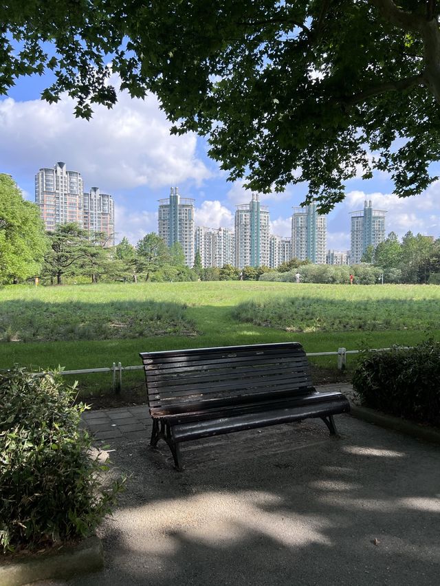 Picnic on a Sunny Afternoon