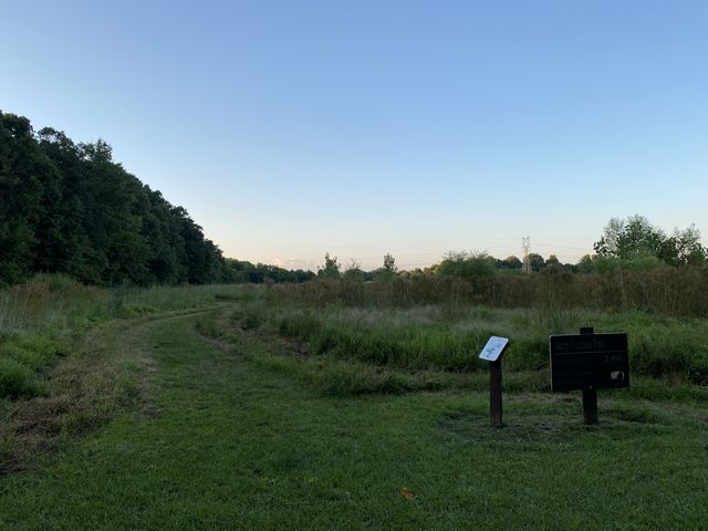 Beech Woodland Trail - Columbus