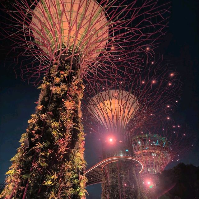 Garden by the bay at Night 