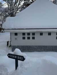 자작나무 눈세상 ”탁심원“ ❄️❄️❄️