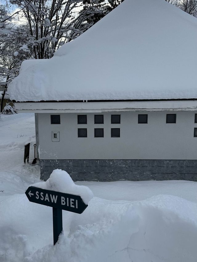 자작나무 눈세상 ”탁심원“ ❄️❄️❄️