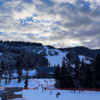 밴쿠버 다운타운에서 가깝게 스키,스노우보드 타러 다녀올 수 있는 사이프러스 마운틴 🏔🏂