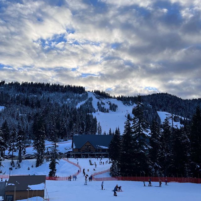 밴쿠버 다운타운에서 가깝게 스키,스노우보드 타러 다녀올 수 있는 사이프러스 마운틴 🏔🏂
