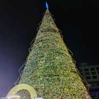 amazing Christmas decorations