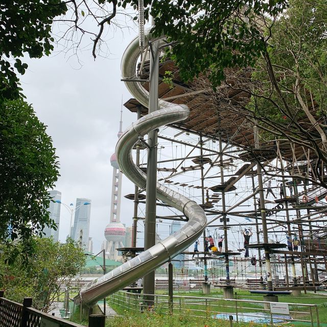 Jungle Gym 