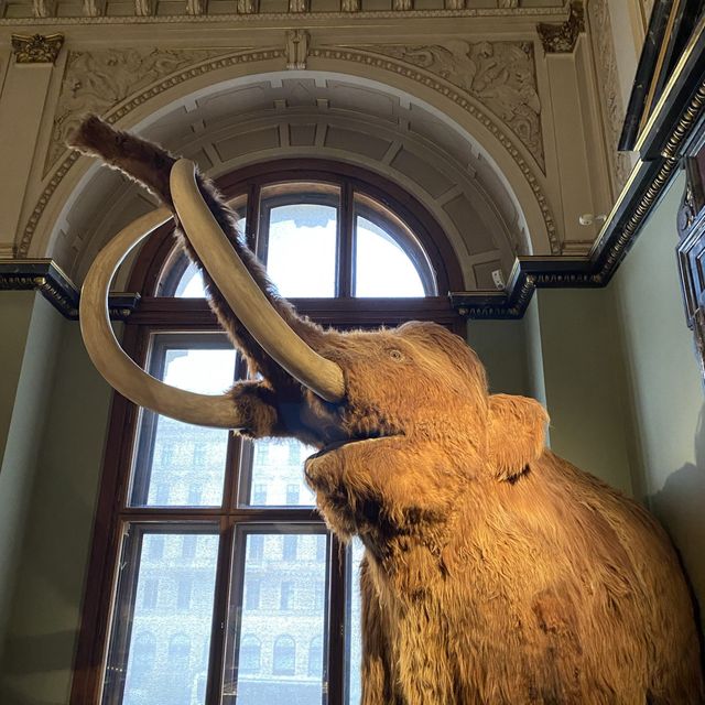 오스트리아 비엔나 | 세계 최대 규모 중 하나 ‘비엔나 자연사 박물관’