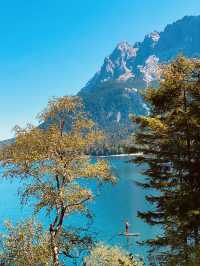 Guten Tag from German Alps 😻