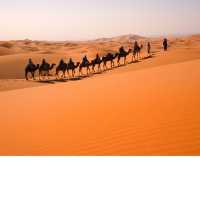Experience Merzouga Golden sand desert 