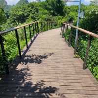 Stunning Detian Falls and Mountain Stroll 